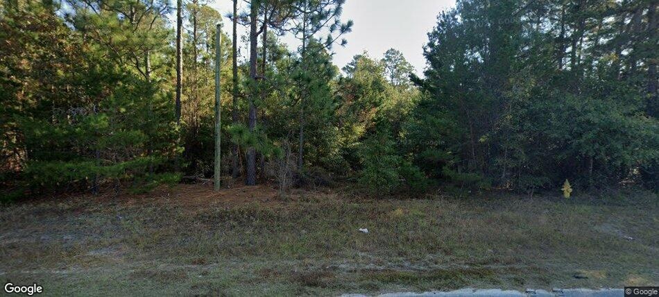 4924 Old Waynesboro Rd, Hephzibah, GA 30815 - photo 1