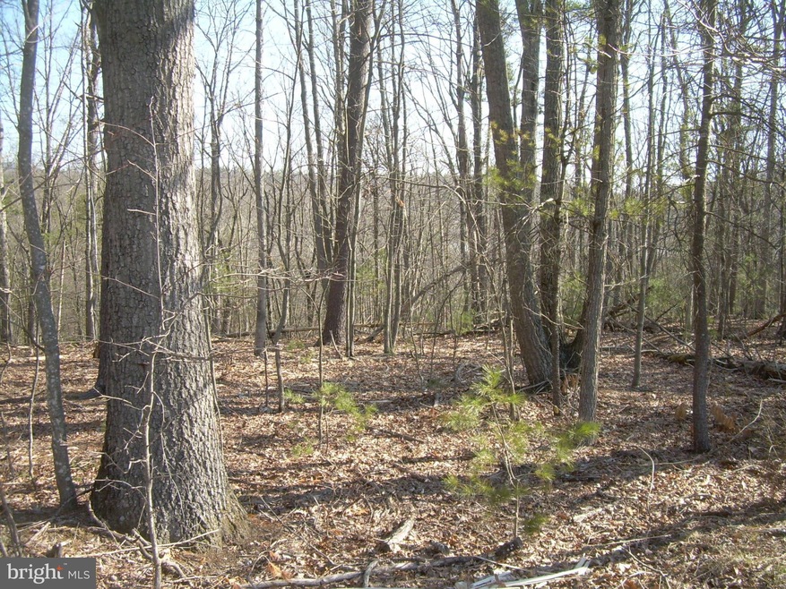 0 Sarah Ln unit 1003456286, Basye, VA 22810 - photo 1