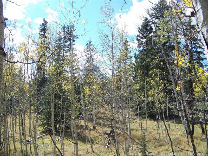 Land/Lot.