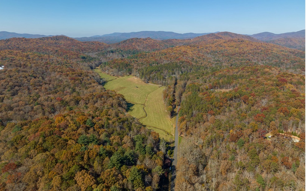 2453 Flat Branch Rd, Ellijay, GA 30540 - photo 1