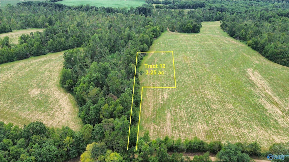 12 Holland Rd, Athens, AL 35614 - photo 1