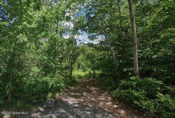 L1 Banker Ave, Brunswick, NY 12182 - photo 1