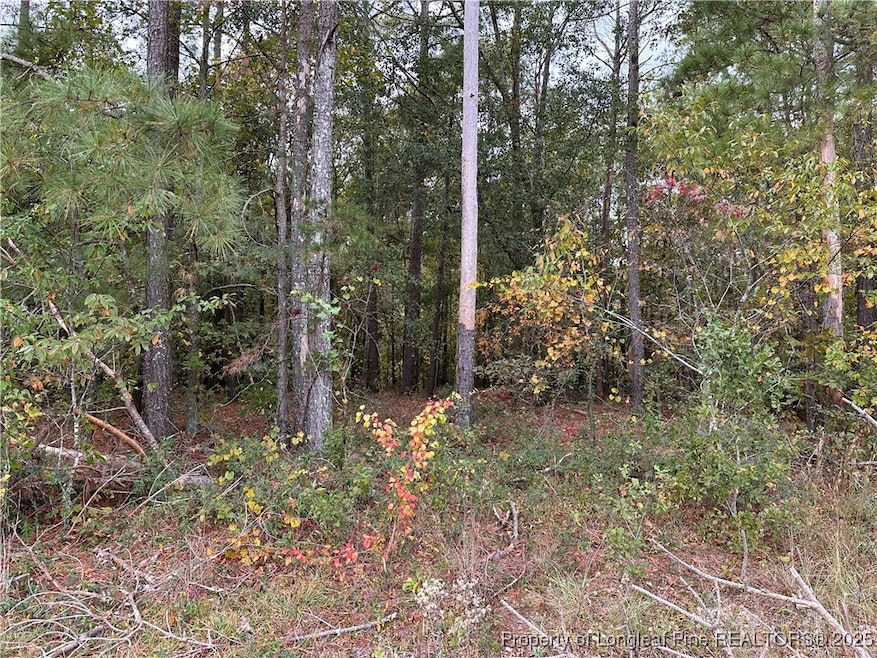 lot 1 Midway Rd, Maxton, NC 28364 - photo 1