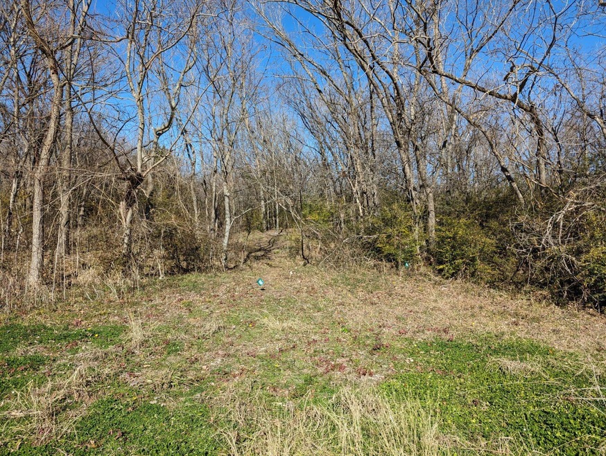 TBD W Heron St, Denison, TX 75020 - photo 1