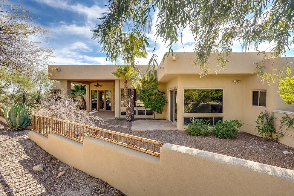 4881 Avenida De Castilla-Backyard