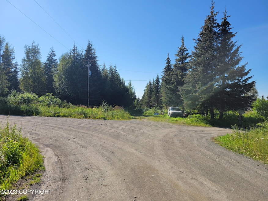 Tr 12 Tomski Ave, Anchor Point, AK 99556 - photo 1