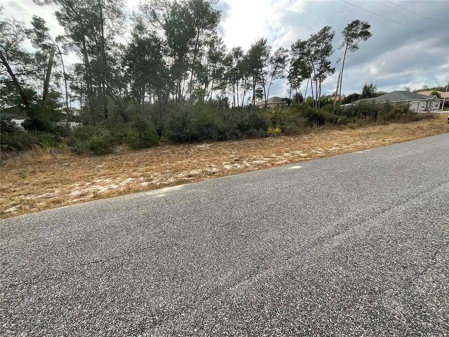 TBD SW 110th Ln, Ocala, FL 34476 - photo 1