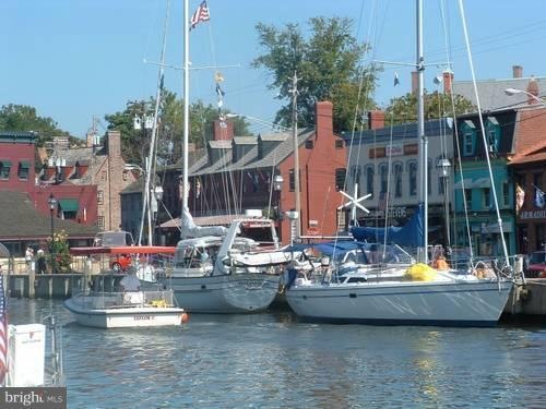 1019 Moss Haven Ct, Annapolis, MD 21403 - photo 1