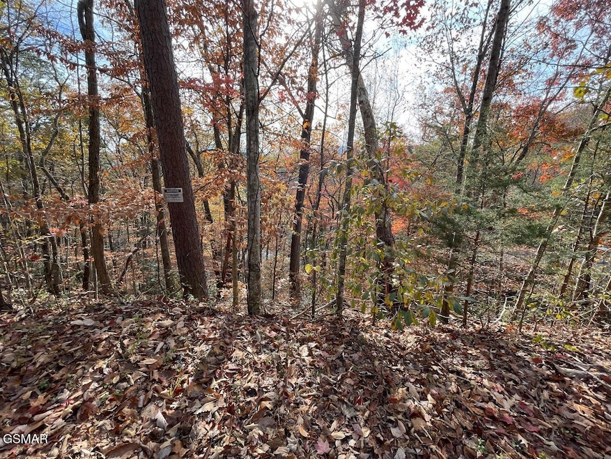Lot 34R Sugar Mountain Way, Pigeon Forge, TN 37863 - photo 1