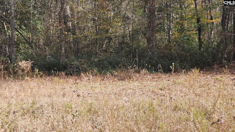 4079 Jefferson Davis Hwy, Bethune, SC 29009 - photo 1