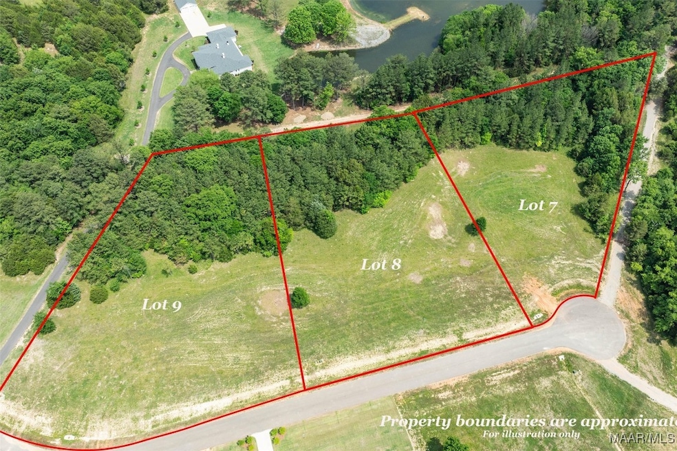 Lot 8 N Leahmon Ln, Mathews, AL 36052 - photo 1