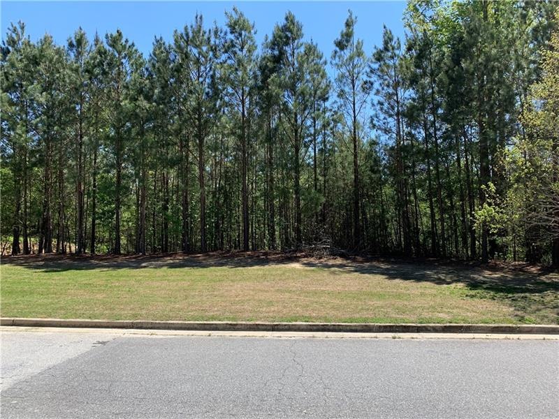 View from Facing the Lot Directly