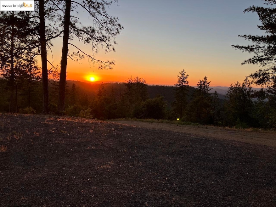 1000 2nd Garrote Ridge Rd, Groveland, CA 95321 - photo 1