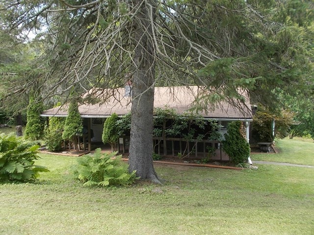 Main View