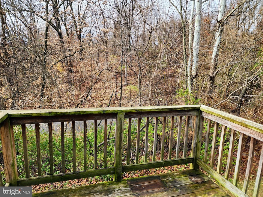 810 E E St, Brunswick, MD 21716 - photo 1