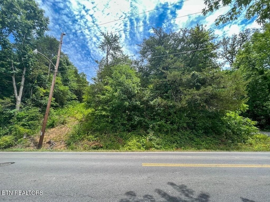 0 Lots 1 2 3 and 21 Ridge Rd unit 1307889, Sevierville, TN 37862 - photo 1