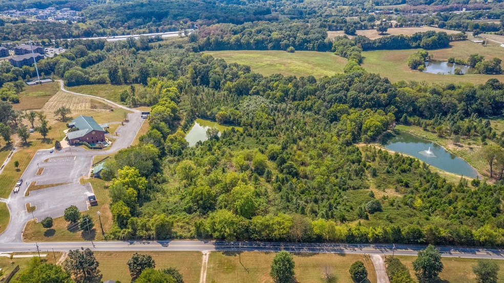 10 level acres! Property line on the left side is around the tree line and on the right side is a little left of the larger pond.