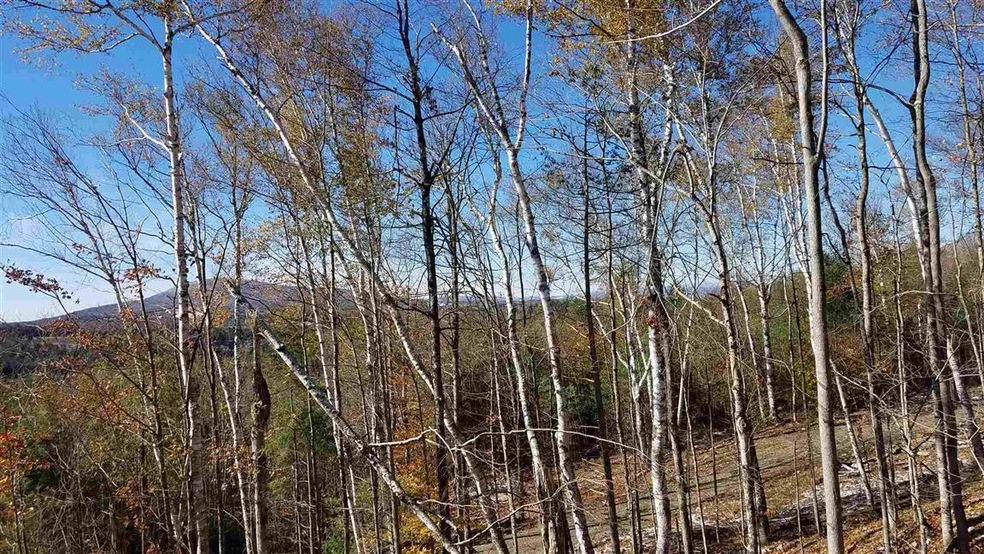 0 Long View Ln unit 2 4809138, Westmore, VT 05860 - photo 1