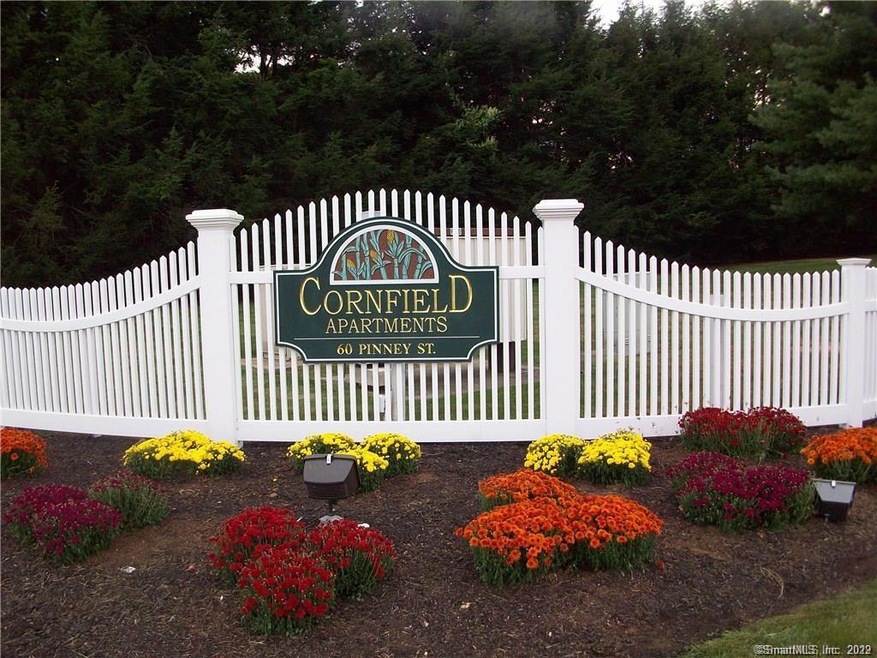 60 Pinney St unit 3, Ellington, CT 06029 - photo 1