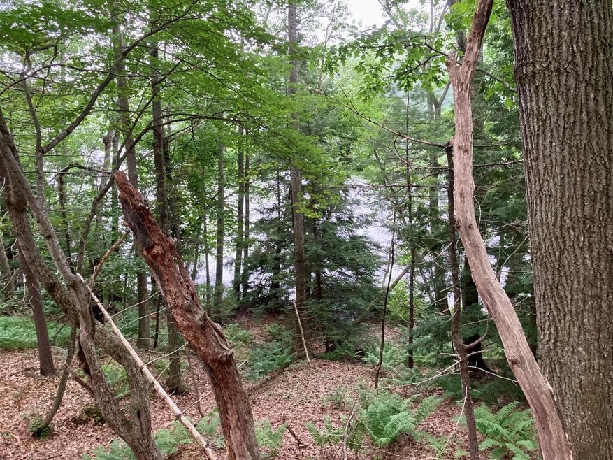 Back of lot with water view