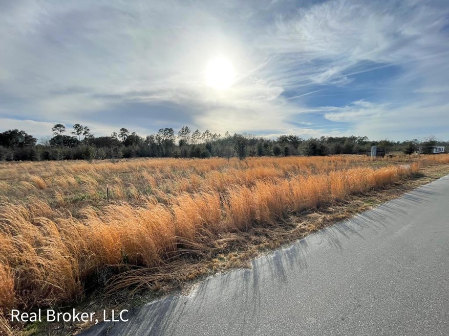 115 Jerold Jones Dr, Jesup, GA 31545 - photo 1