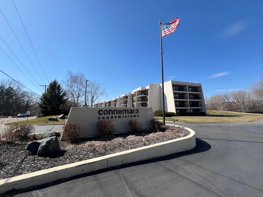 2485 Londin Ln E unit 418, Saint Paul, MN 55119 - photo 1