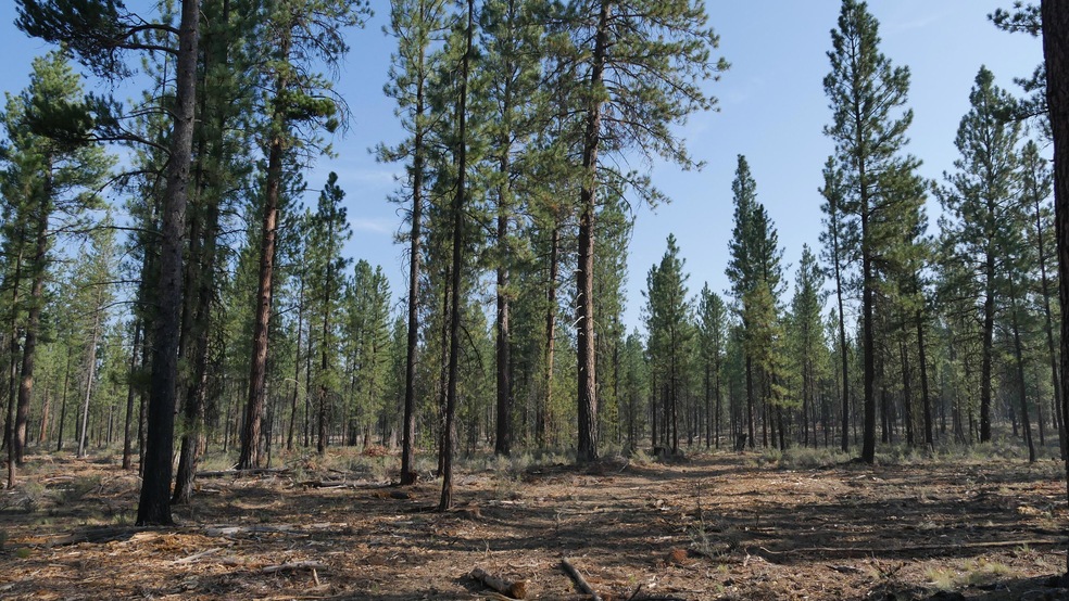 Front of homesite
