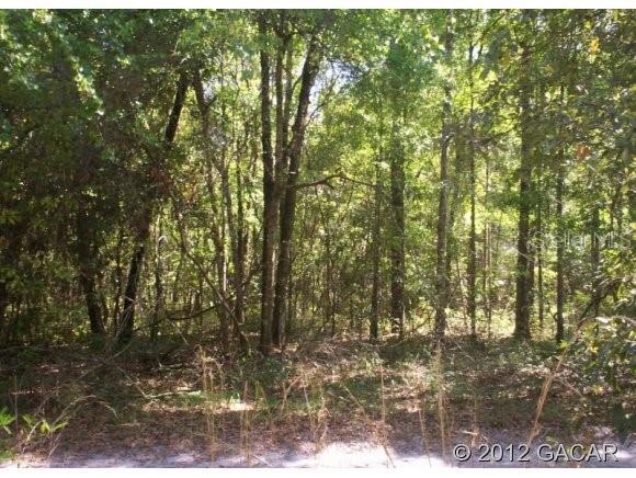 0 276th Place, Branford, FL 32008 - photo 1