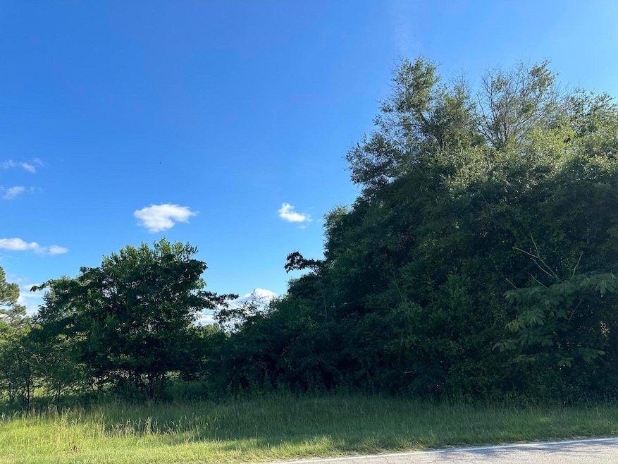 1419 Hephzibah - McBean Rd, Hephzibah, GA 30815 - photo 1