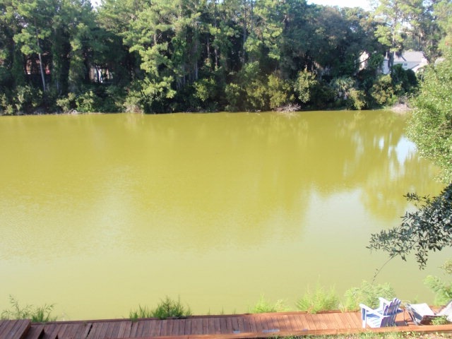 Main View