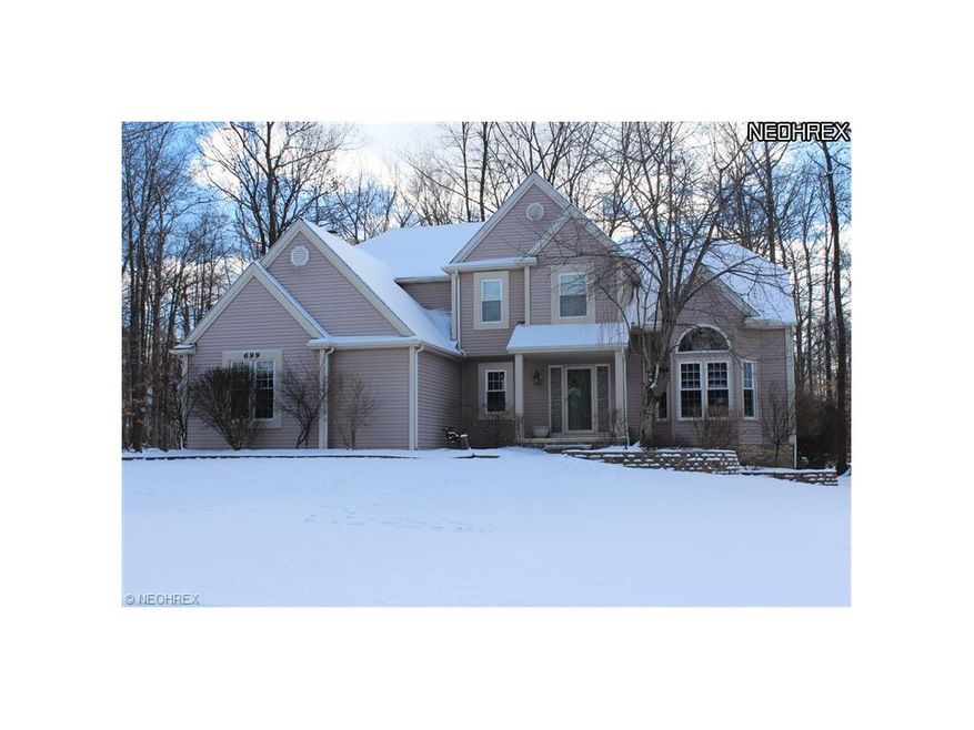 699 Rock Creek Dr, Aurora, OH 44202 - photo 1