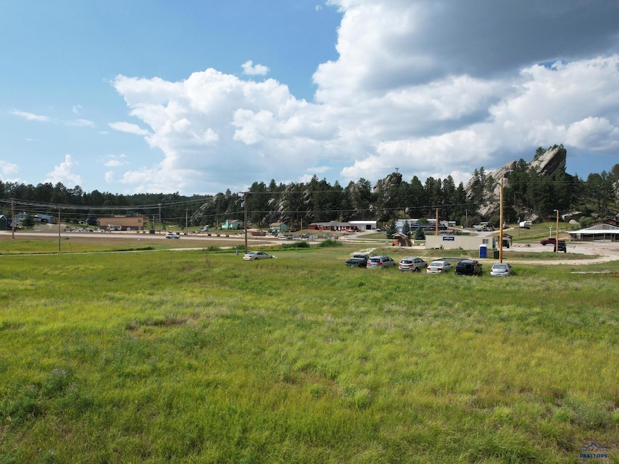 TBD Wazi Ln unit Just of Hwy 16W, Custer, SD 57730 - photo 1