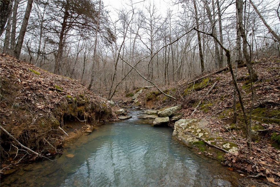 TBD S Hwy 71, Winslow, AR 72959 - photo 1
