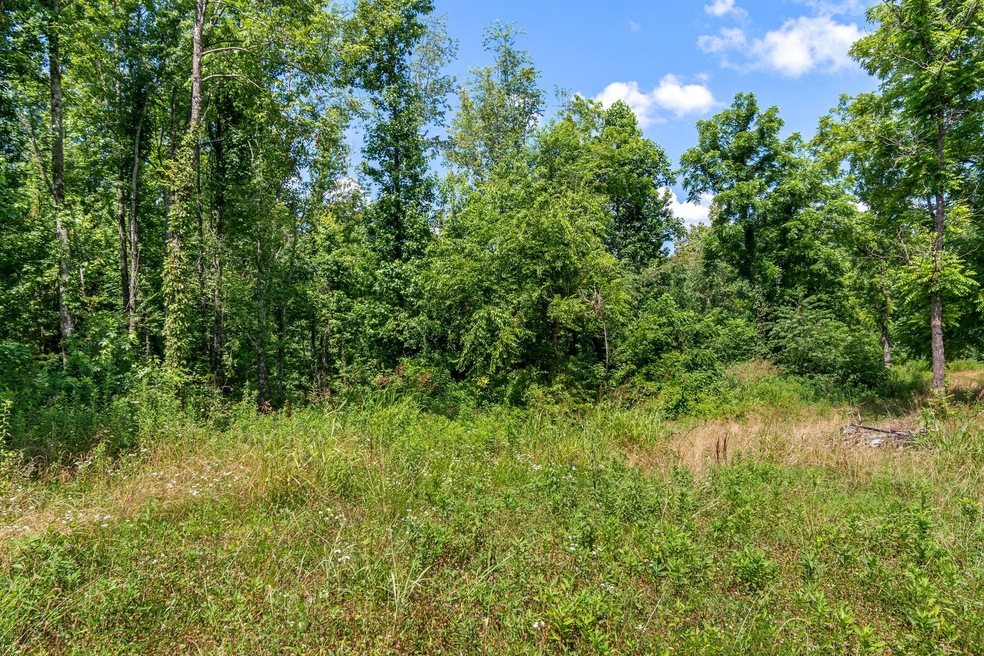 0 Fredonia Rd unit RTC2671348, Manchester, TN 37355 - photo 1