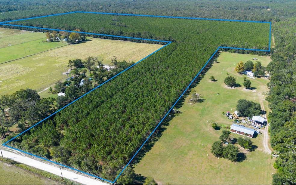 TBD-2 221st Rd, Dowling Park, FL 32060 - photo 1