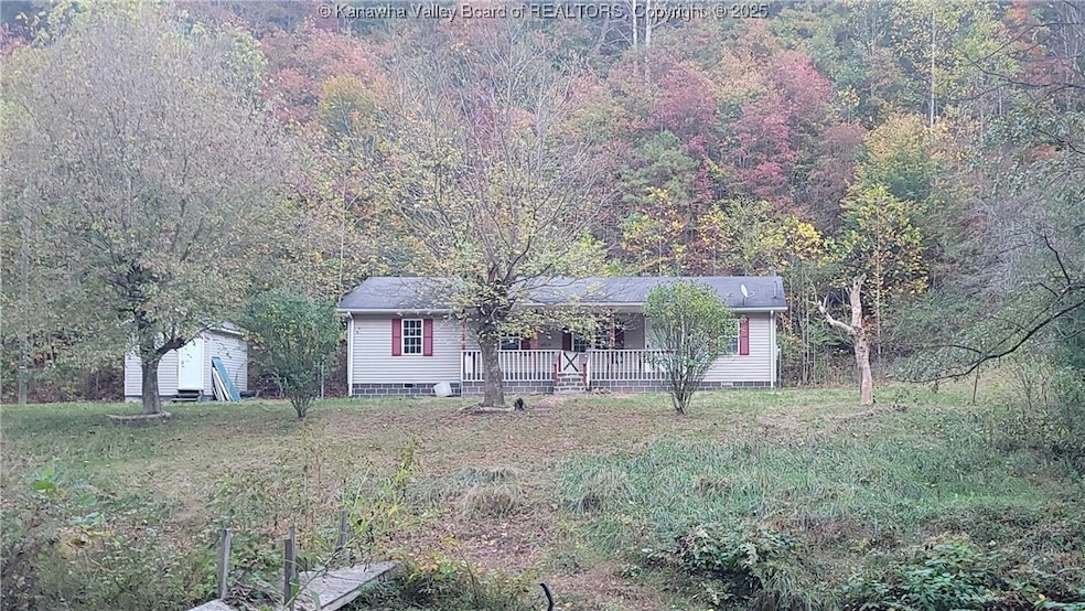 9768 Blue Lick Rd, Branchland, WV 25506 - photo 1