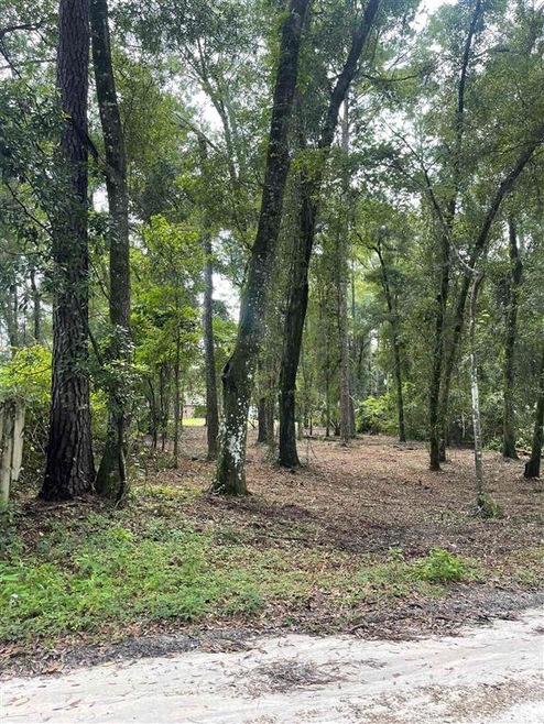 7 Chickat Trail, Crawfordville, FL 32327 - photo 1