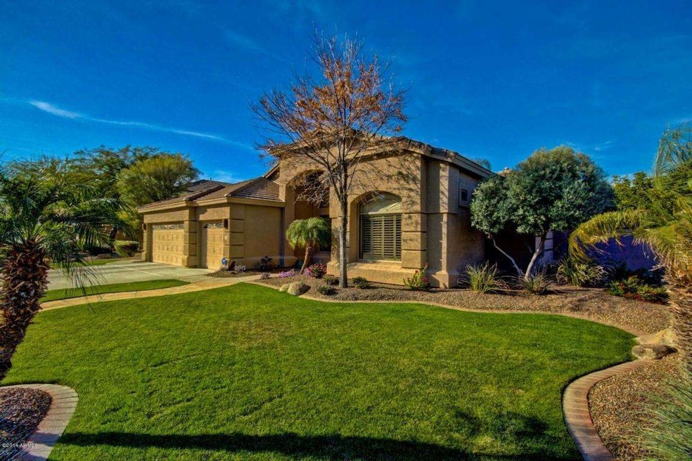 Grassy front yard
