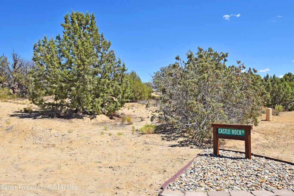 6412 Castle Rock Cir, Farmington, NM 87402 - photo 1