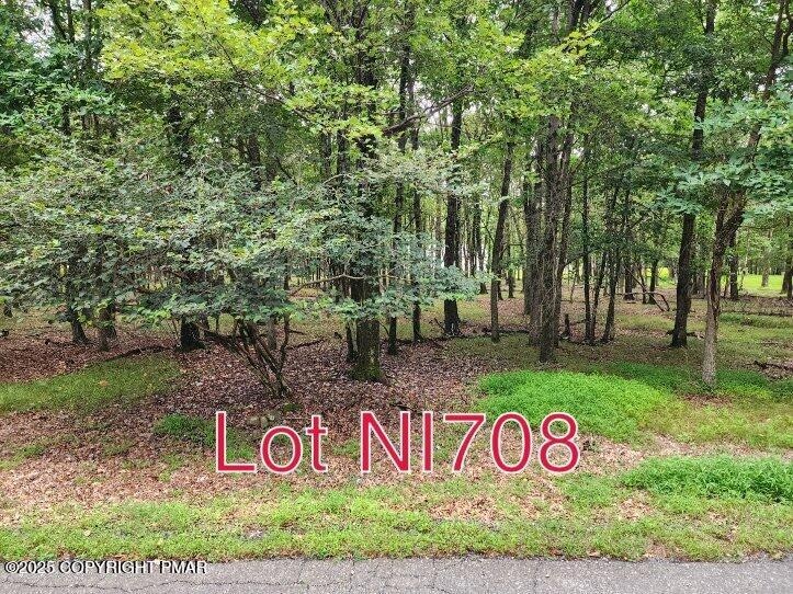 Lot NI708 Mohawk Trail, Penn Forest Township, PA 18210 - photo 1
