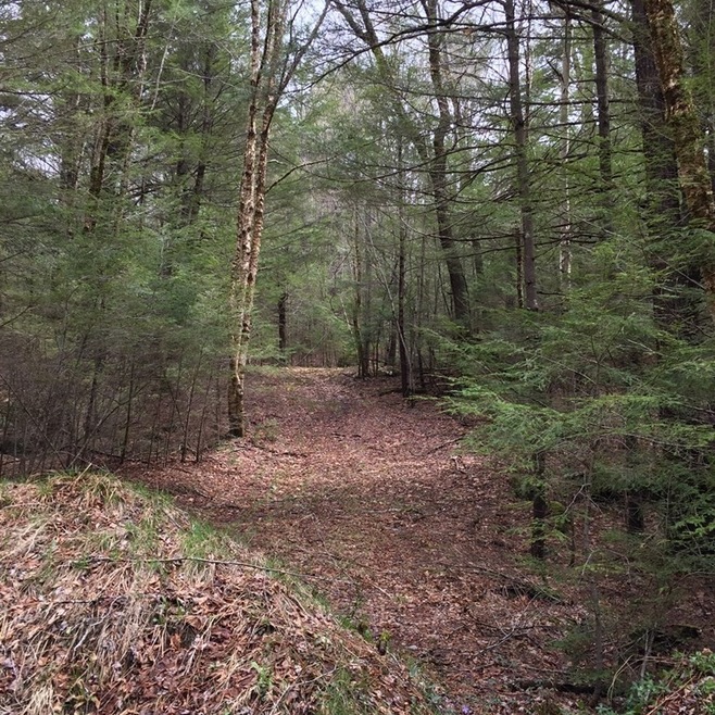 55 Kentfield Rd, Wendell, MA 01380 - photo 1