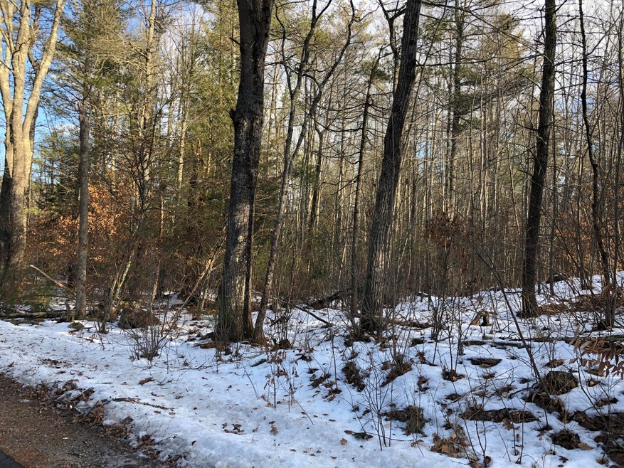 0 Thurrell Rd, South Berwick, ME 03908 - photo 1