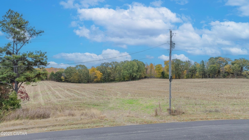 00 Leggett Rd, Ripley, TN 38063 - photo 1