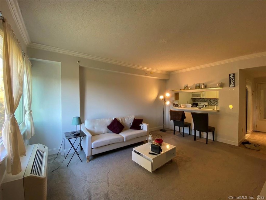 Sound House unit 505, Bridgeport, CT 06604 - photo 1