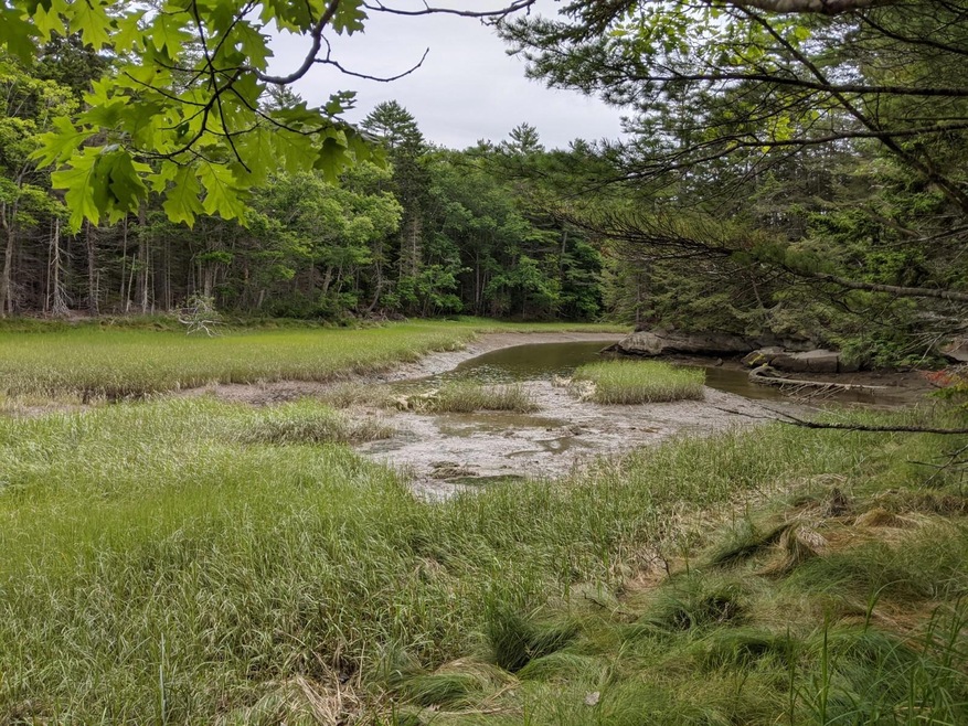 Off Dover Rd, Boothbay, ME 04537 - photo 1