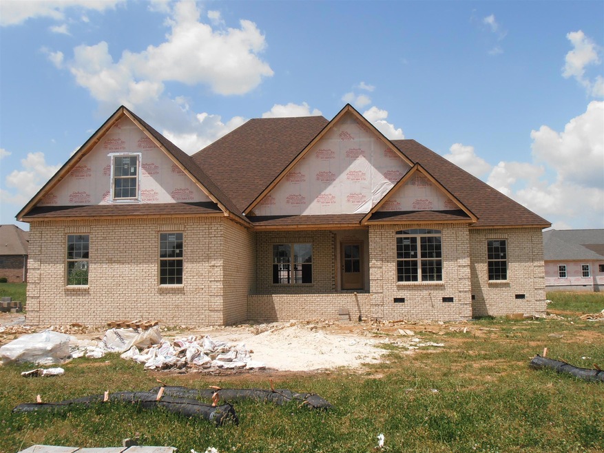 307 Honeysuckle Ln, Shelbyville, TN 37160 - photo 1