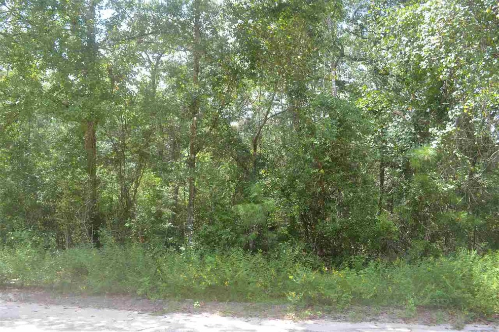 0 Stanley Dr unit 1 285444, Crawfordville, FL 32327 - photo 1