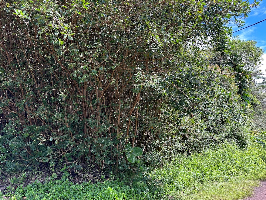 0 Kona St unit 706207, Pahoa, HI 96778 - photo 1