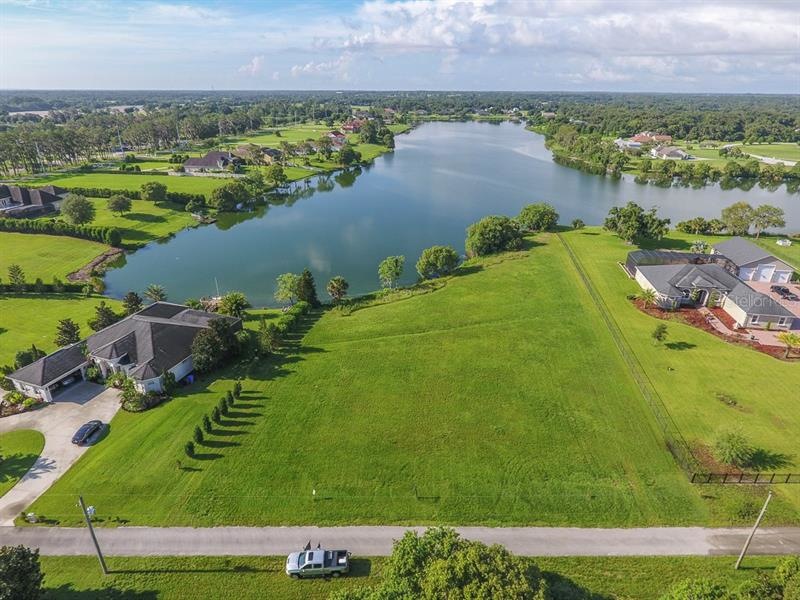 13319 Maple Nut Ln, Dover, FL 33527 - photo 1