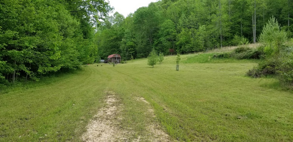 2079 Swindle Creek Rd, Linden, TN 37096 - photo 1